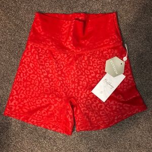 BuffBunny Collection Shorts